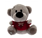 MASCOTTE FOREVER ORSO TIMMY NBA  CHICAGO BULLS