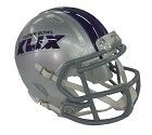 MINI HELMET RIDDELL SUPERBOWL XLIX 2015  .