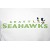 FELPA NEW ERA PEANUTS X NFL  SEATTLE SEAHAWKS